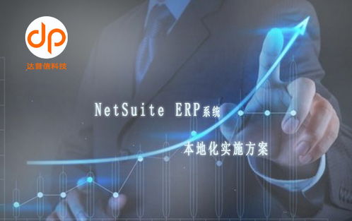 达普信 netsuite erp二次开发的详细介绍